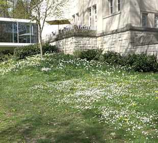 Museum Frieder Burda
