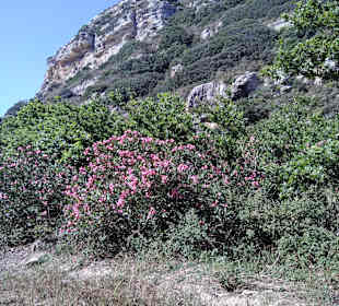 Wandern Gournes