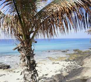Am Strand im Dorf am Ende der Stadt