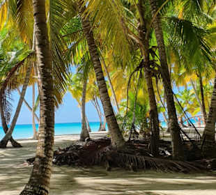 Isla Saona