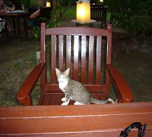 Nette Unterhaltung im Garten