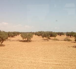 Stadtrundgang Sangho