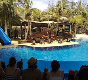 Oasis Park in La Lajita