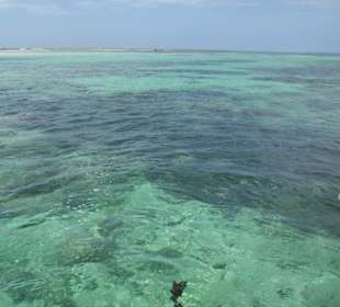Ausflug Glasbodenboot Diani Beach
