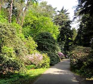 Auf dem Rundweg durch den Park
