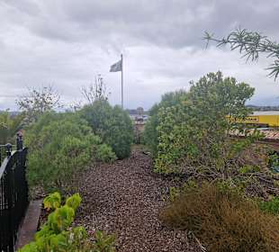 Hundertwasser Art Centre