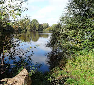 Rundgang um den Drielaker See