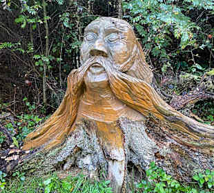 Wandern Bernkastel-Kues