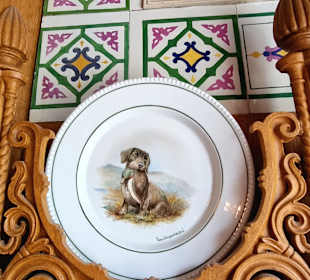 SPeisesaal Wandteller Rauhaarteckel