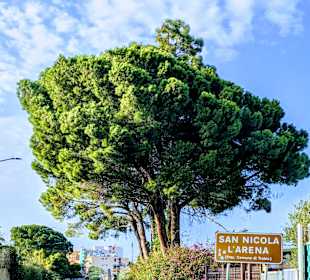 Stadtrundgang San Nicola l'Arena