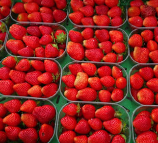 Impressionen vom Meraner Freitagsmarkt