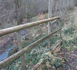 Wanderung rund um den Ochsenweiher