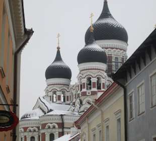 Sobór św. Aleksandra Newskiego