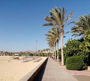 Promenade Caleta de Fuste in Caleta de Fuste