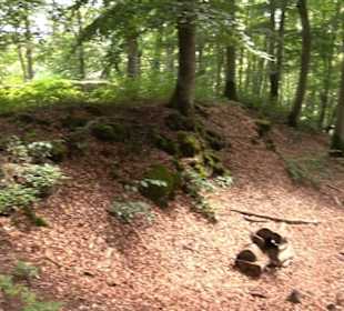 Burg Alt-Lichtenstein