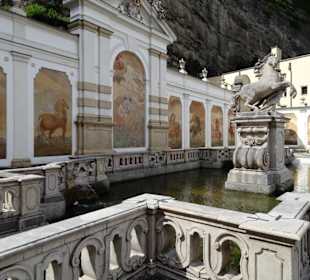 Ansichten der Salzburger Pferdeschwemme
