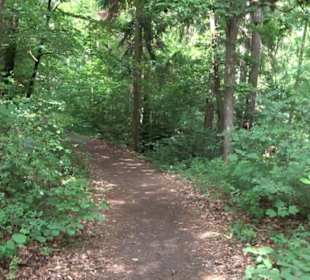 Schutzgebiet Spitzberg, Pfaffenberg