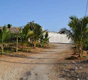 Salim Bin Arabia Tomb Salalah