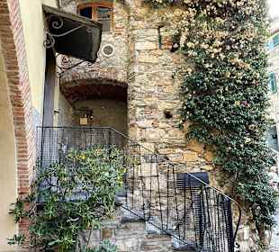 Cervo