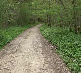 Kreuzweg - Stationenweg