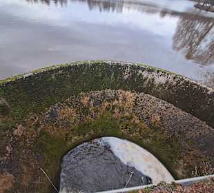 Naherholungsgebiet Jägersburg in Homburg