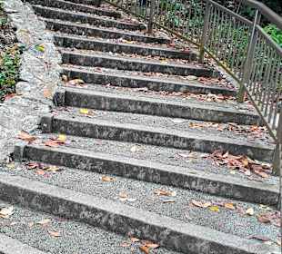Marang Trail auf den Mount Faber