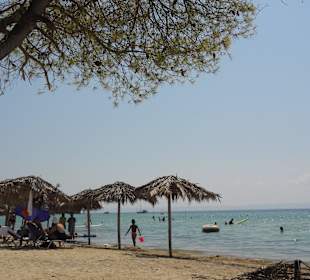 Strand mit Liegen/Schirmen