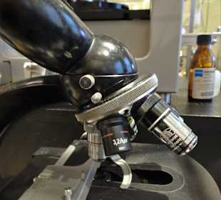 Lichtmikroskop im Medizinhistorischen Museum