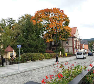 Kurhaus Swieradow Zdroj/Bad Flinsberg