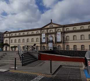 Stadtrundfahrt Santa Cruz