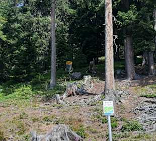 Sunny Mountain Adventure Park