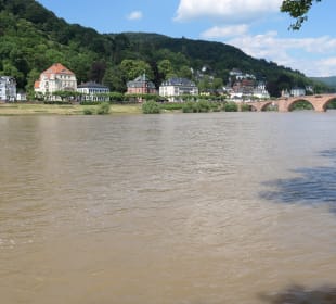 Blick zur Karl-Theodor-Brücke (Alte Brücke)