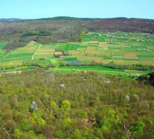 Oben am Walberla Nordseite