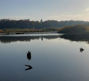 Stadtrundgang Kolobrzeg/Kolberg