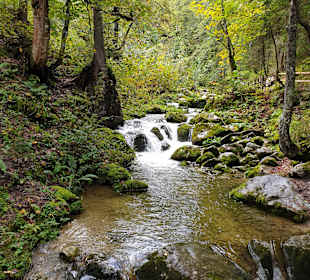 Skigebiet Loferer Almenwelt