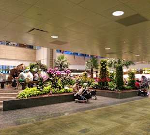 Übergang zum Boarding