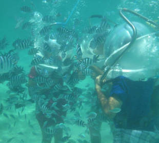 Tauchglocken-Ausflug