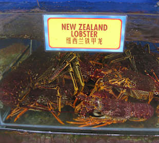 Frische Meerestiere in den Restaurants