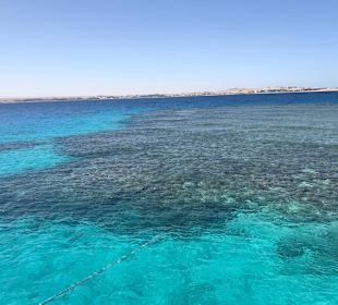 Schnorcheln Makadi Bay