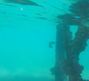 Schnorcheln Hurghada