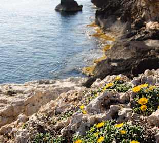 Spaziergang am Strand 