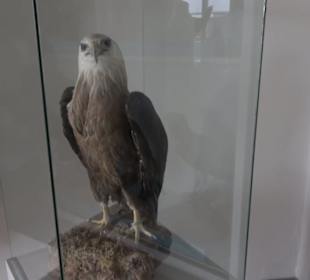 Museum Rosenburg