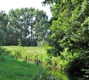 Sommer-Impressionen aus dem Park Links der Weser
