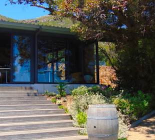 Cape Point Vineyards in Noordhoek