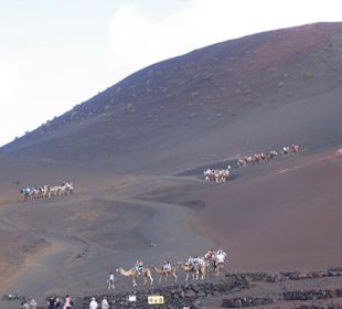 Kamelritt im Nationalpark