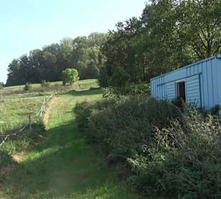 Wanderung zur Burgruine Liebenau