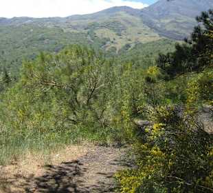 Etna - Refugio Citelli