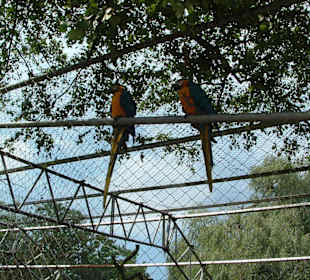 Freizeitpark