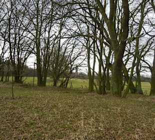 Naturschutzgebiet Boberger Niederung