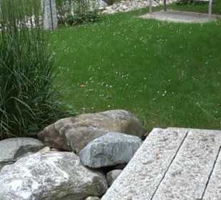 Friedhof Derendingen